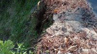 IMG-20260828-WA0009