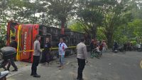 IMG-20261011-WA0000